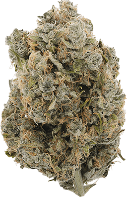 Strawberry Cough