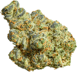 Berry Fritter